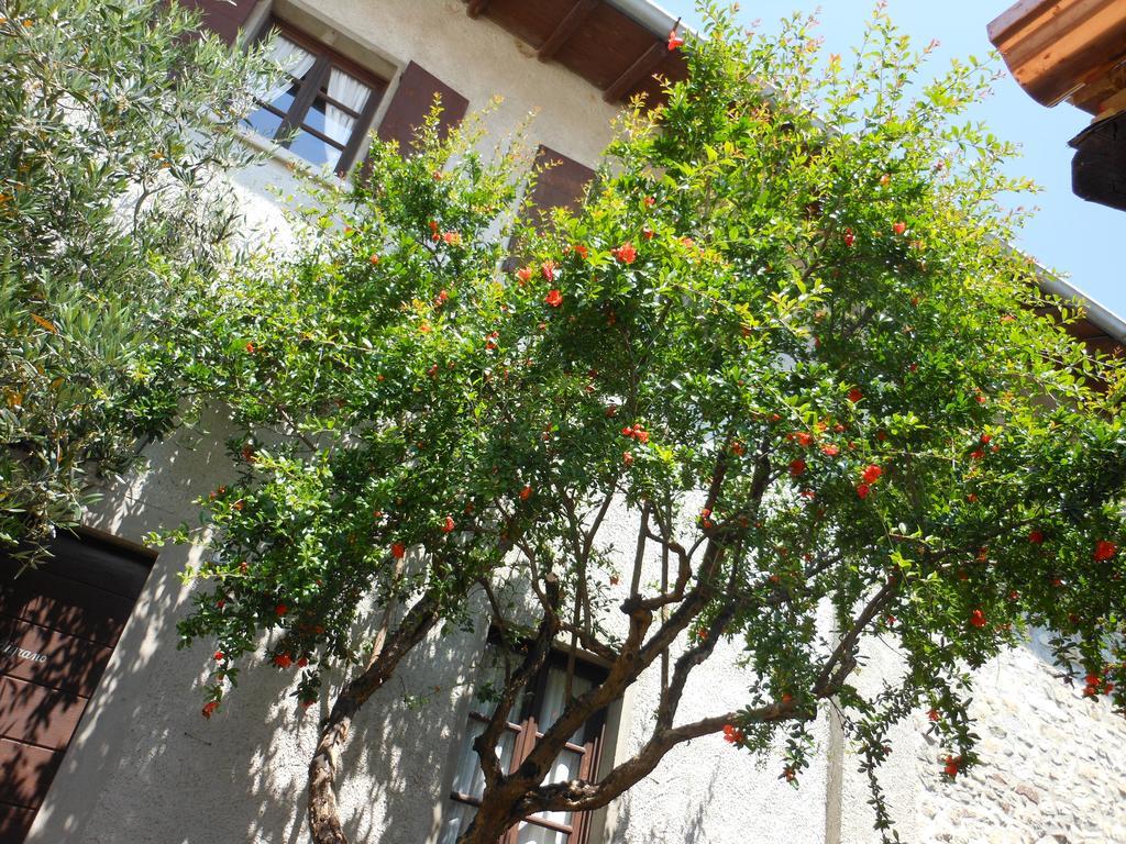 Agriturismo Cassinazza Orsenigo Экстерьер фото